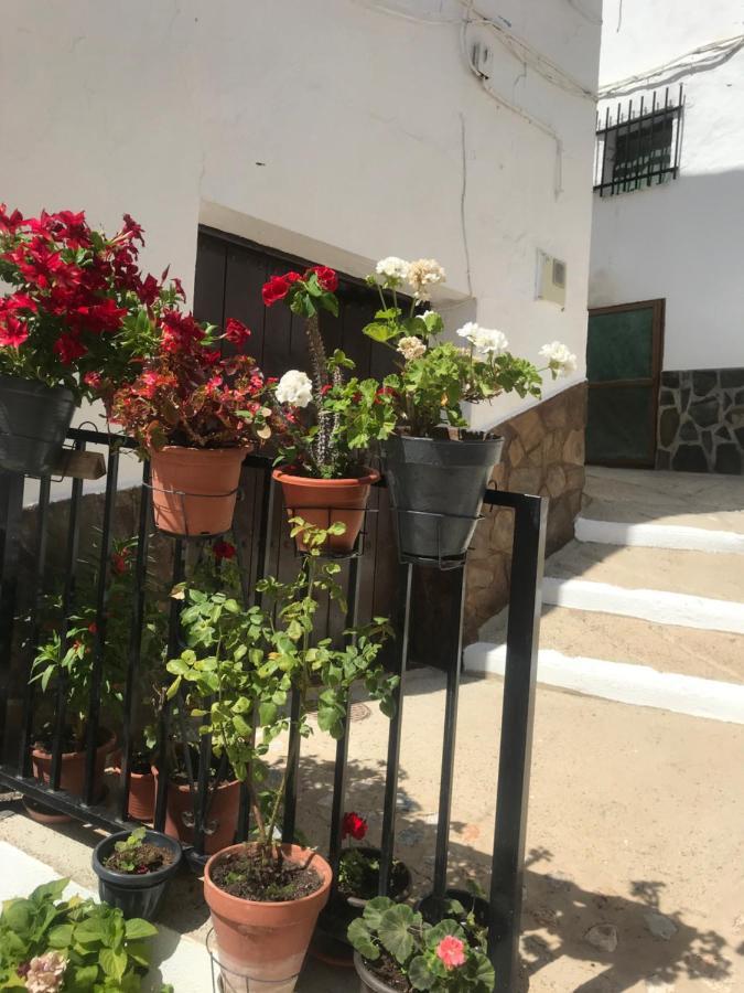 Casa Amigos Sorvilan- La Palmera 外观 照片