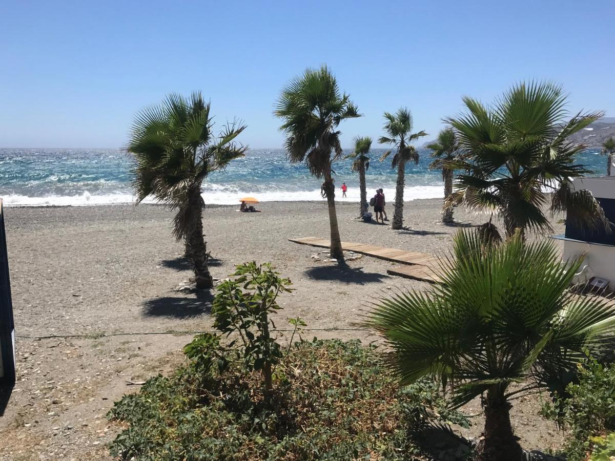 Casa Amigos Sorvilan- La Palmera 外观 照片