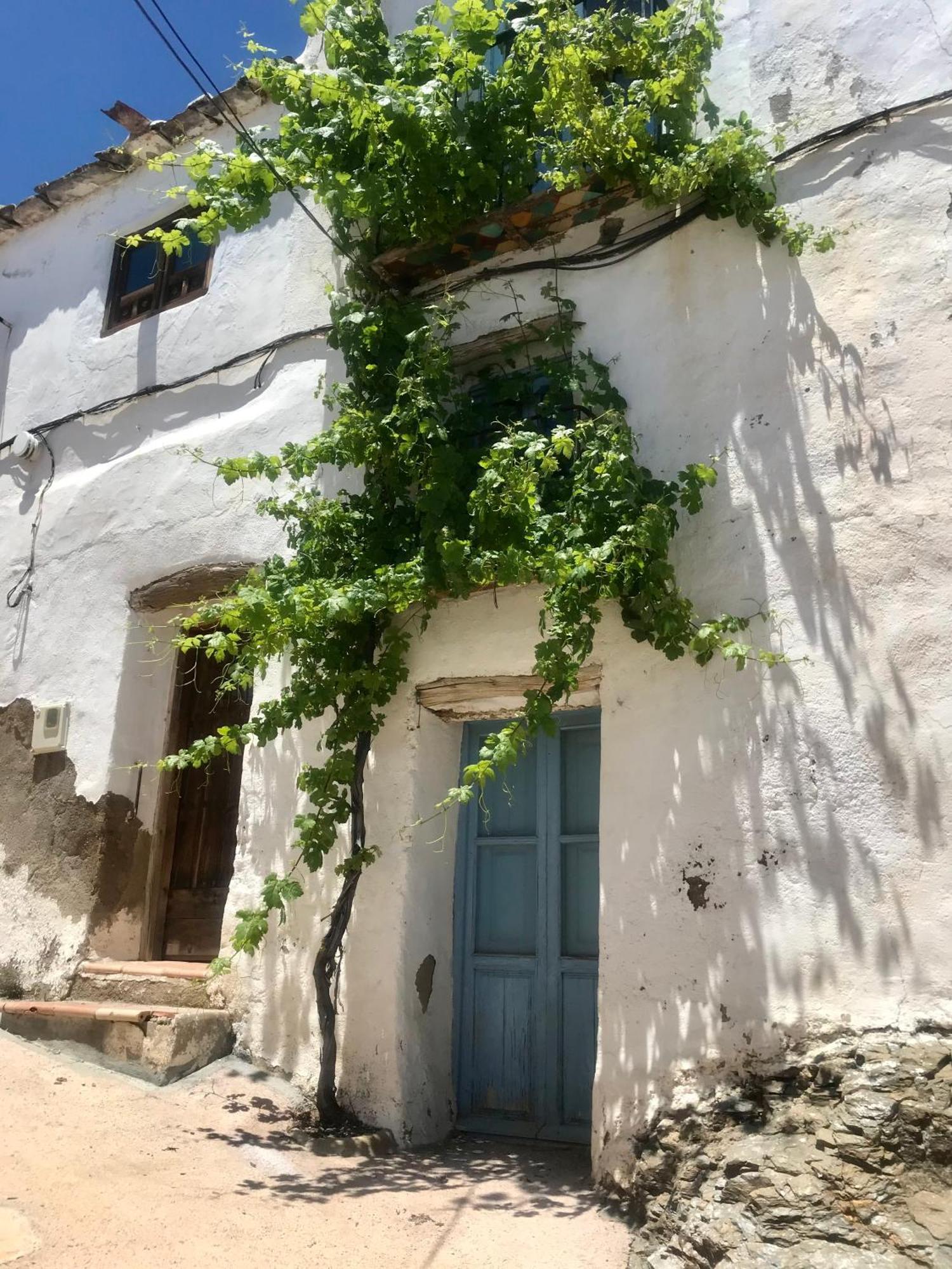 Casa Amigos Sorvilan- La Palmera 外观 照片